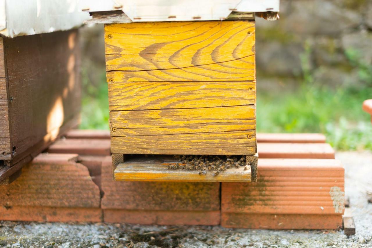 Honey Farm House Virpazar Bagian luar foto