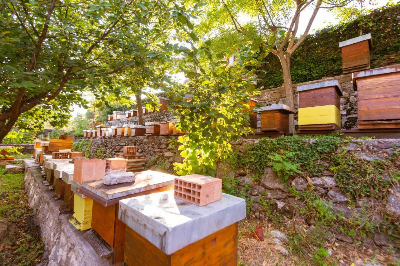 Honey Farm House Virpazar Bagian luar foto