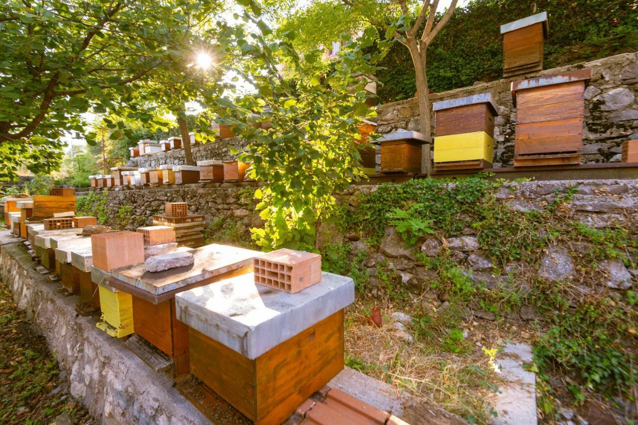 Honey Farm House Virpazar Bagian luar foto