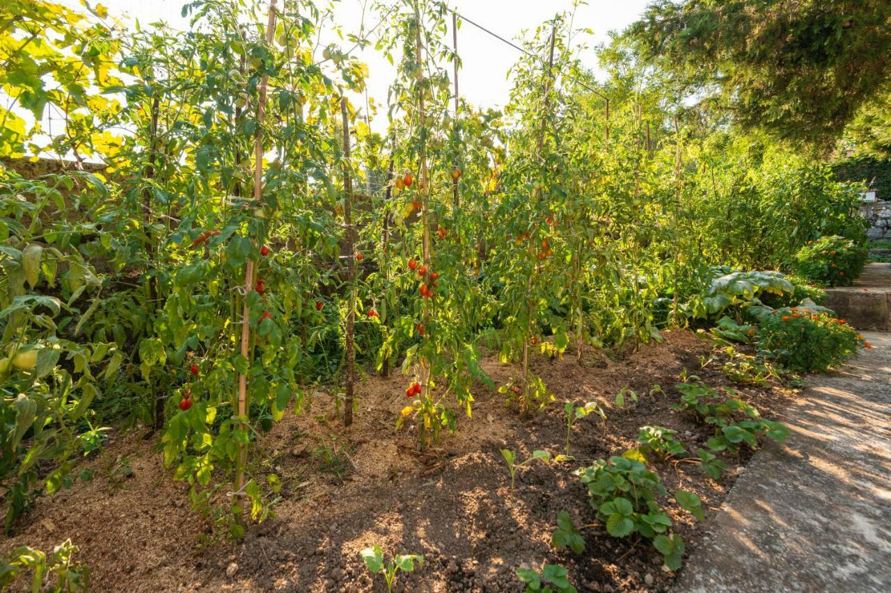 Honey Farm House Virpazar Bagian luar foto
